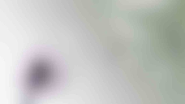 post_photo_12_v01