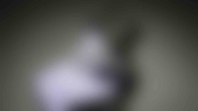 post_photo_18_v01